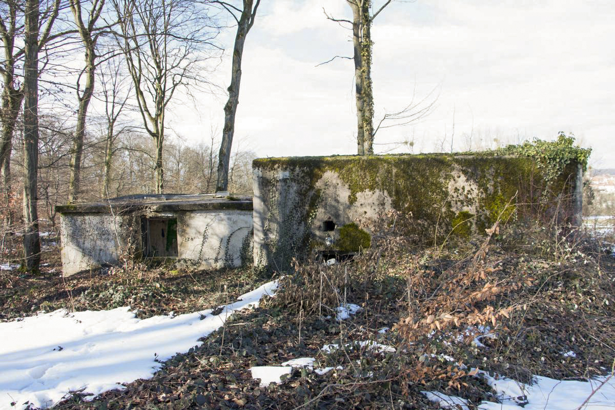Ligne Maginot - BAMBESCH NORD 1 - (Blockhaus pour canon) - Vue arrière, avec le casernement léger - Fré Do