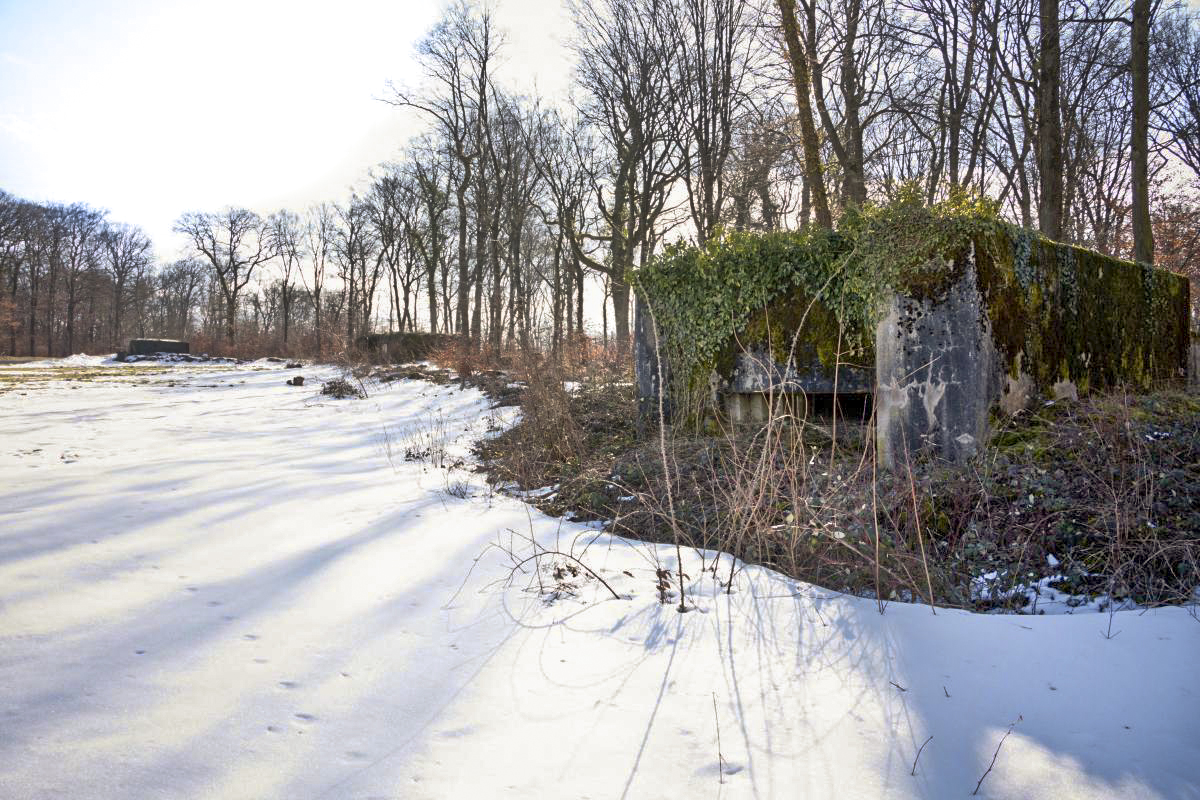 Ligne Maginot - BAMBESCH NORD 1 - (Blockhaus pour canon) - Vue générale des BAMBESCH Nord 1, 2 et 3 - Fré Do