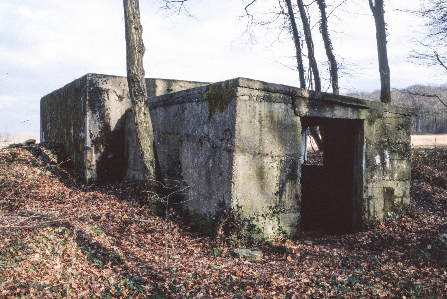 Ligne Maginot - BAMBESCH NORD 1 - (Blockhaus pour canon) -  - MANSUY Michel
