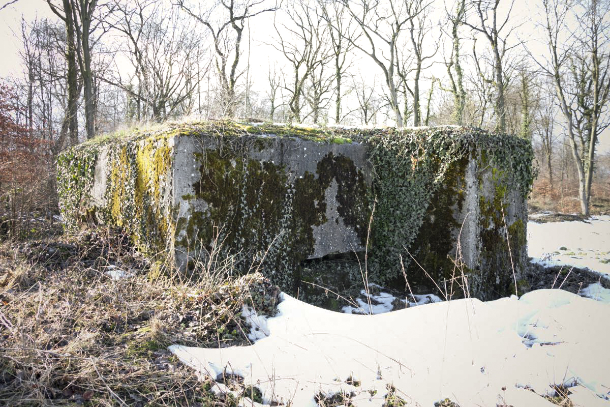 Ligne Maginot - BAMBESCH NORD 3 - (Blockhaus pour arme infanterie) -  - Fré Do
