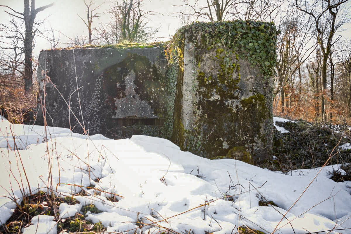 Ligne Maginot - BAMBESCH NORD 3 - (Blockhaus pour arme infanterie) -  - Fré Do