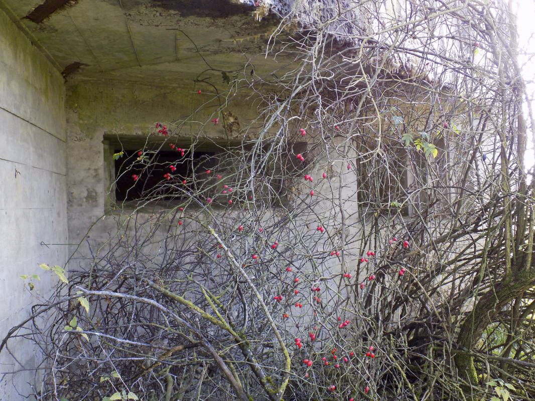 Ligne Maginot - A94 - BRUNCENT - (Blockhaus lourd type STG / STG-FCR - Simple) - Les créneaux - R Tucker