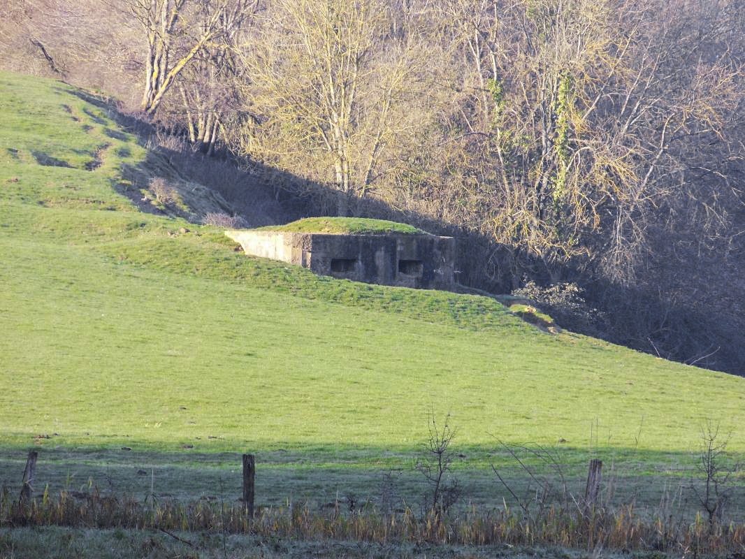 Ligne Maginot - 25A - MORECHAMBRIERE EST - (Blockhaus pour arme infanterie) -  - Richard Tucker