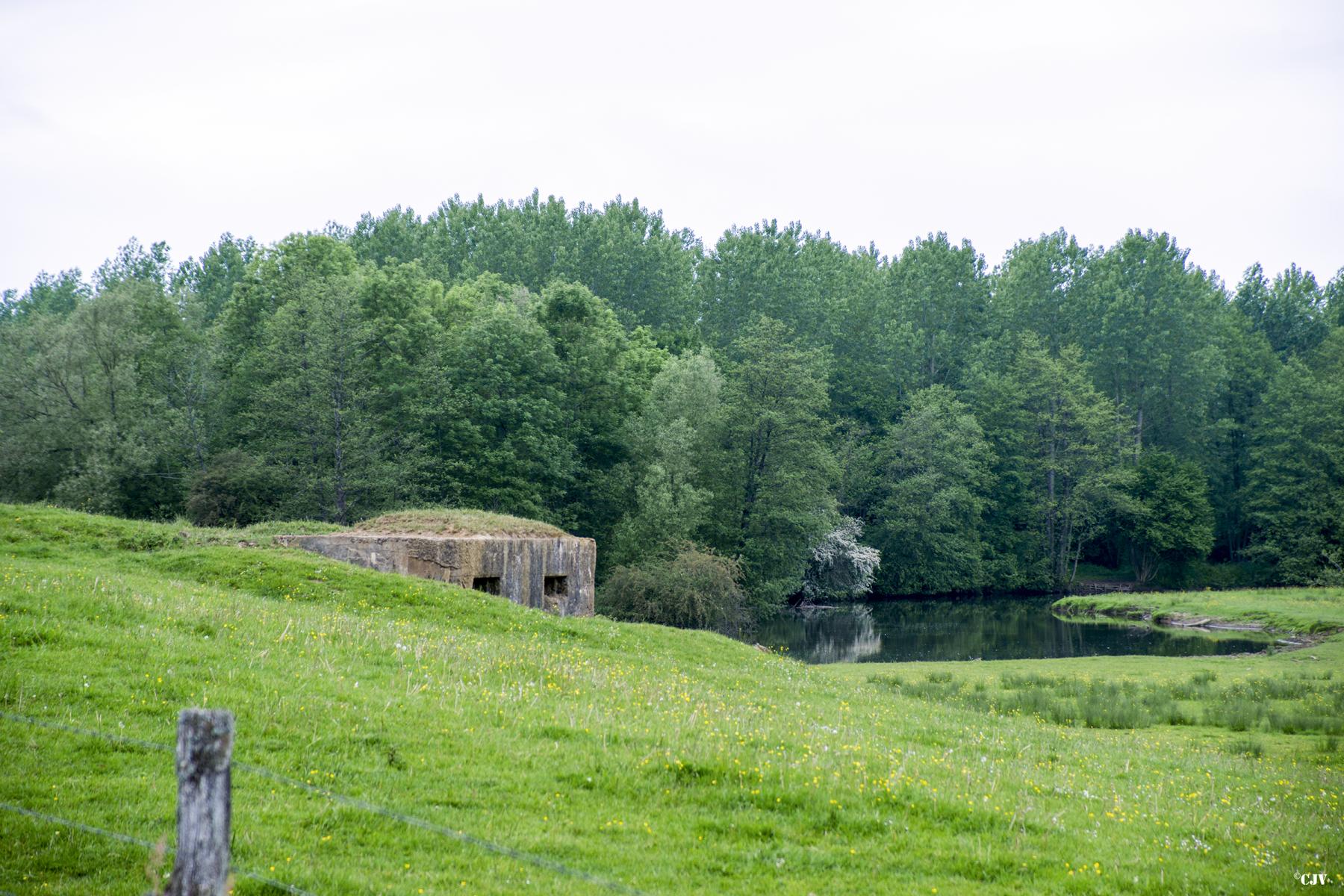 Ligne Maginot - 25A - MORECHAMBRIERE EST - (Blockhaus pour arme infanterie) -  - Lia VERMEULEN