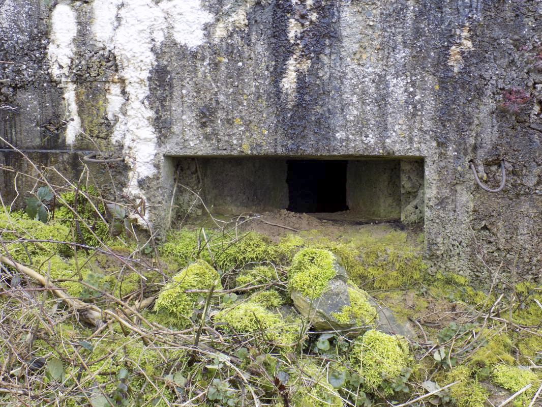 Ligne Maginot - 32B - RUISSEAU DE REVIGNY EST - (Blockhaus pour arme infanterie) - Face frontale, créneau Hotchkiss. - R Tucker