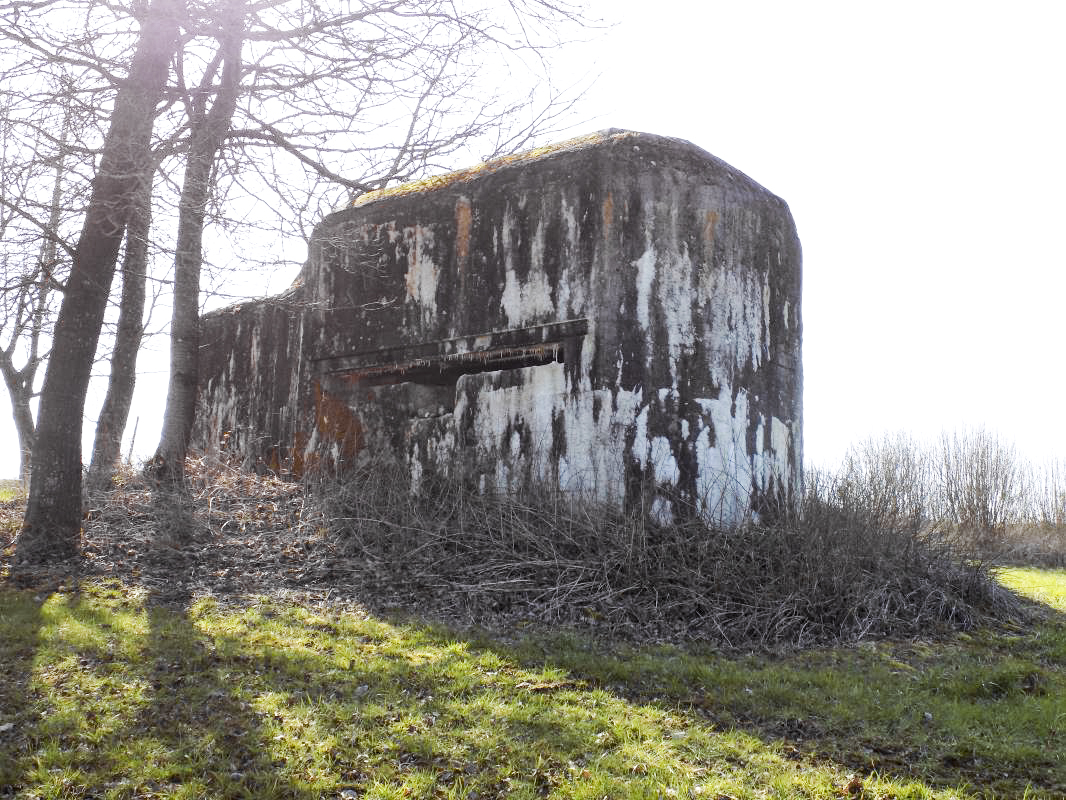 Ligne Maginot - A101 - TOURTRAY NORD - (Blockhaus lourd type STG / STG-FCR - Simple) -  - R Tucker