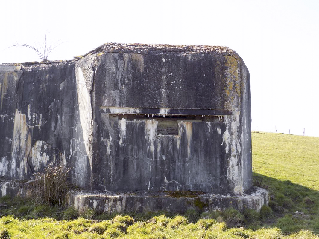 Ligne Maginot - A101BIS - TOURTRAY SUD - (Blockhaus lourd type STG / STG-FCR - Double) - Créneau d'observation - R Tucker