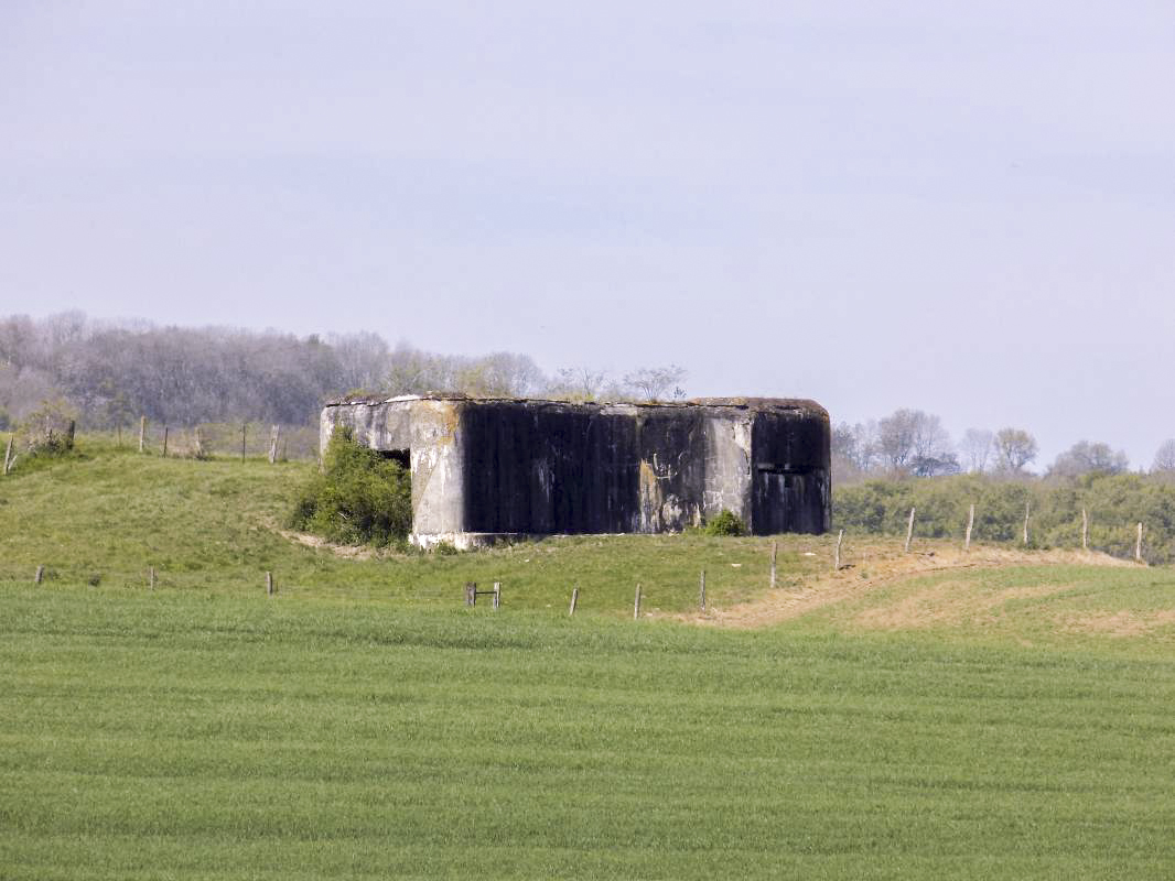 Ligne Maginot - A101BIS - TOURTRAY SUD - (Blockhaus lourd type STG / STG-FCR - Double) - Le blockhaus pris de l'est - R Tucker