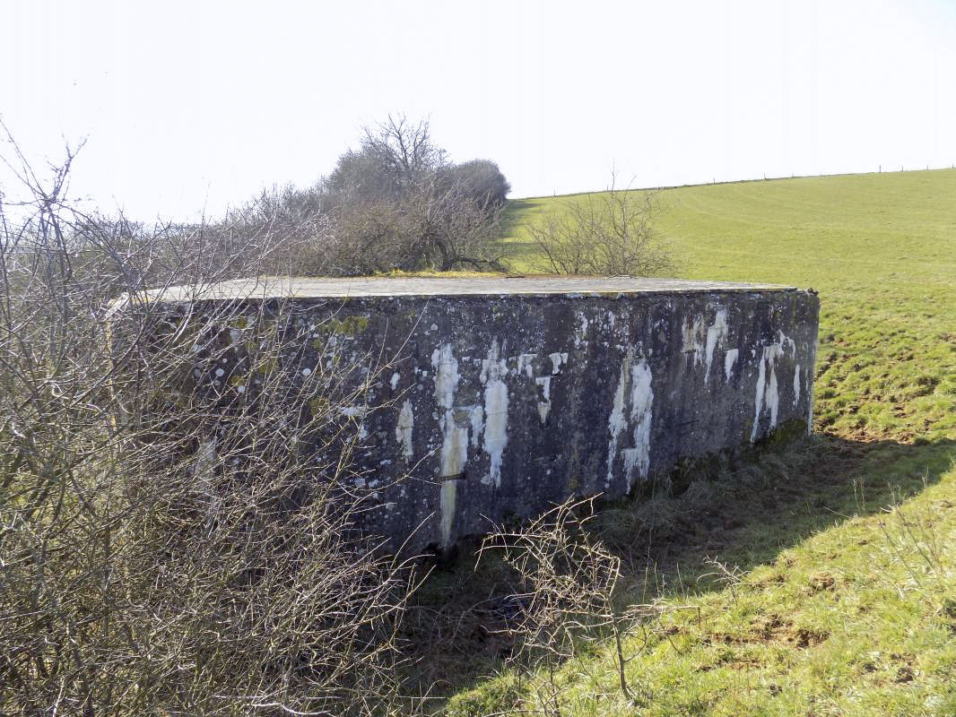 Ligne Maginot - EUILLY SUD - (Blockhaus pour canon) - Face gauche - R Tucker