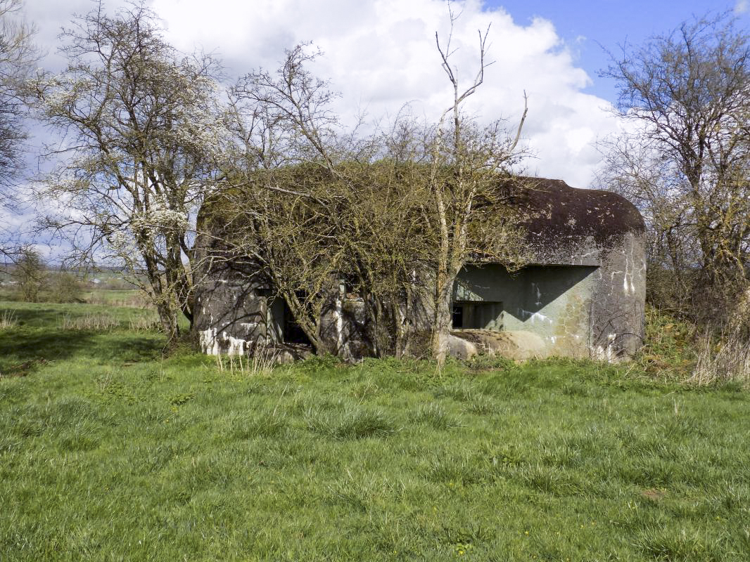 Ligne Maginot - A95BIS - TETAIGNE B - (Blockhaus lourd type STG / STG-FCR - Double) - Faces l'arrière / sud est - R Tucker