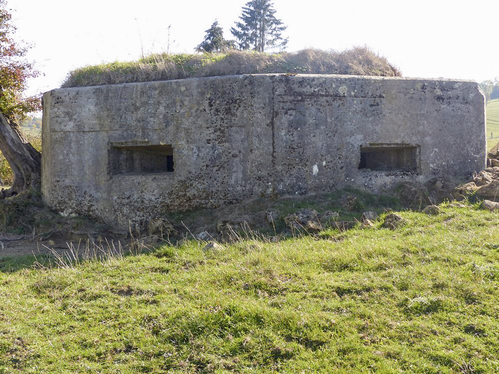 Ligne Maginot - 83A - LA CARITE - (Blockhaus pour arme infanterie) - Vue avant  - David HARMAND