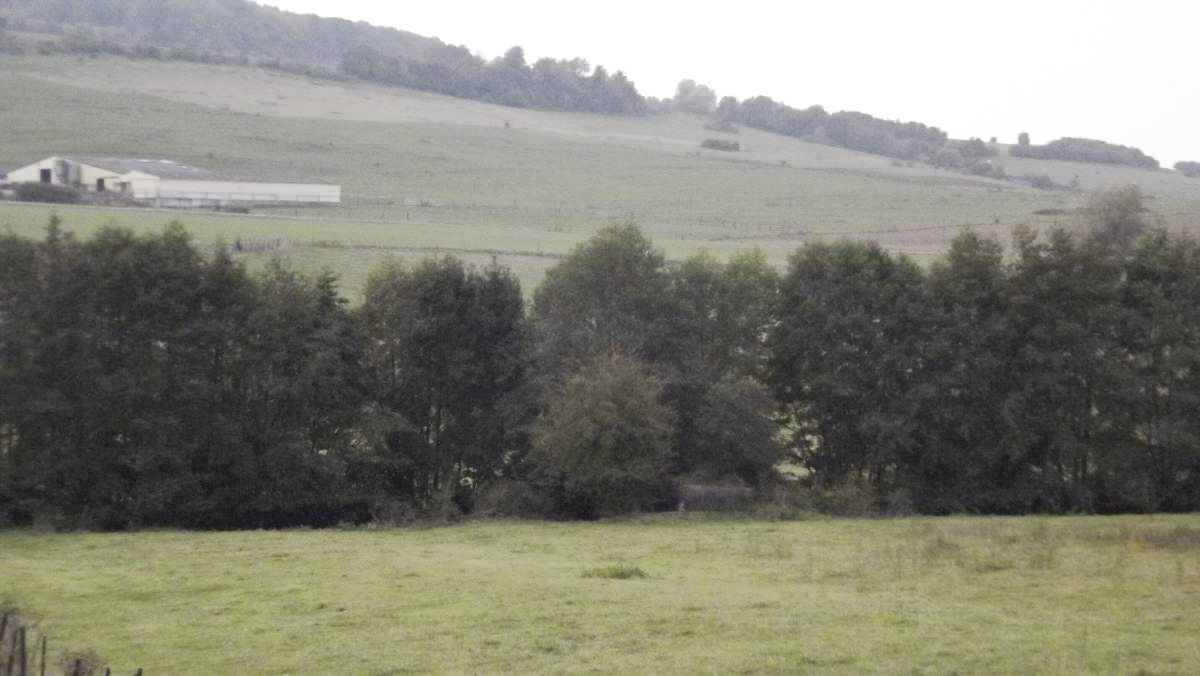 Ligne Maginot - 84 - BEL AIR - (Blockhaus pour canon) - En arrière plan la colline de Saint Walfroy  - David HARMAND
