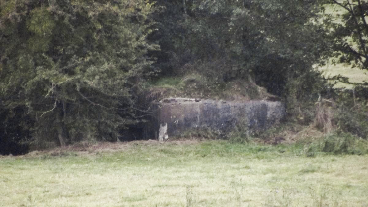 Ligne Maginot - 84 - BEL AIR - (Blockhaus pour canon) -  - David HARMAND