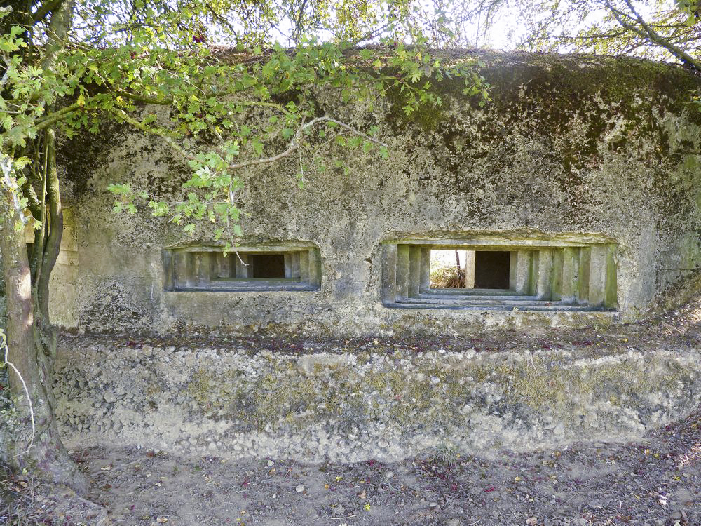 Ligne Maginot - 85 - LA TUILERIE - (Blockhaus pour canon) - Vue avant, créneaux AC et mitrailleuse  - David HARMAND