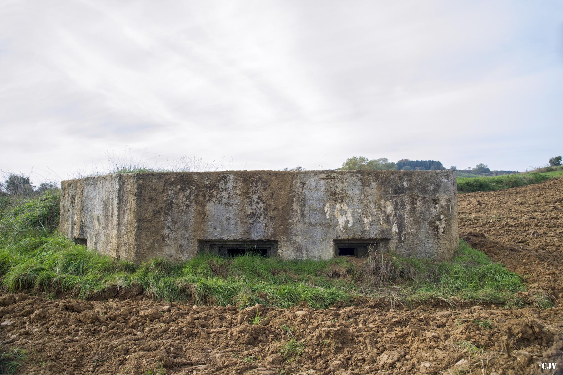 Ligne Maginot - V - LES LIGNIERES - (Blockhaus pour canon) -  - Lia VERMEULEN