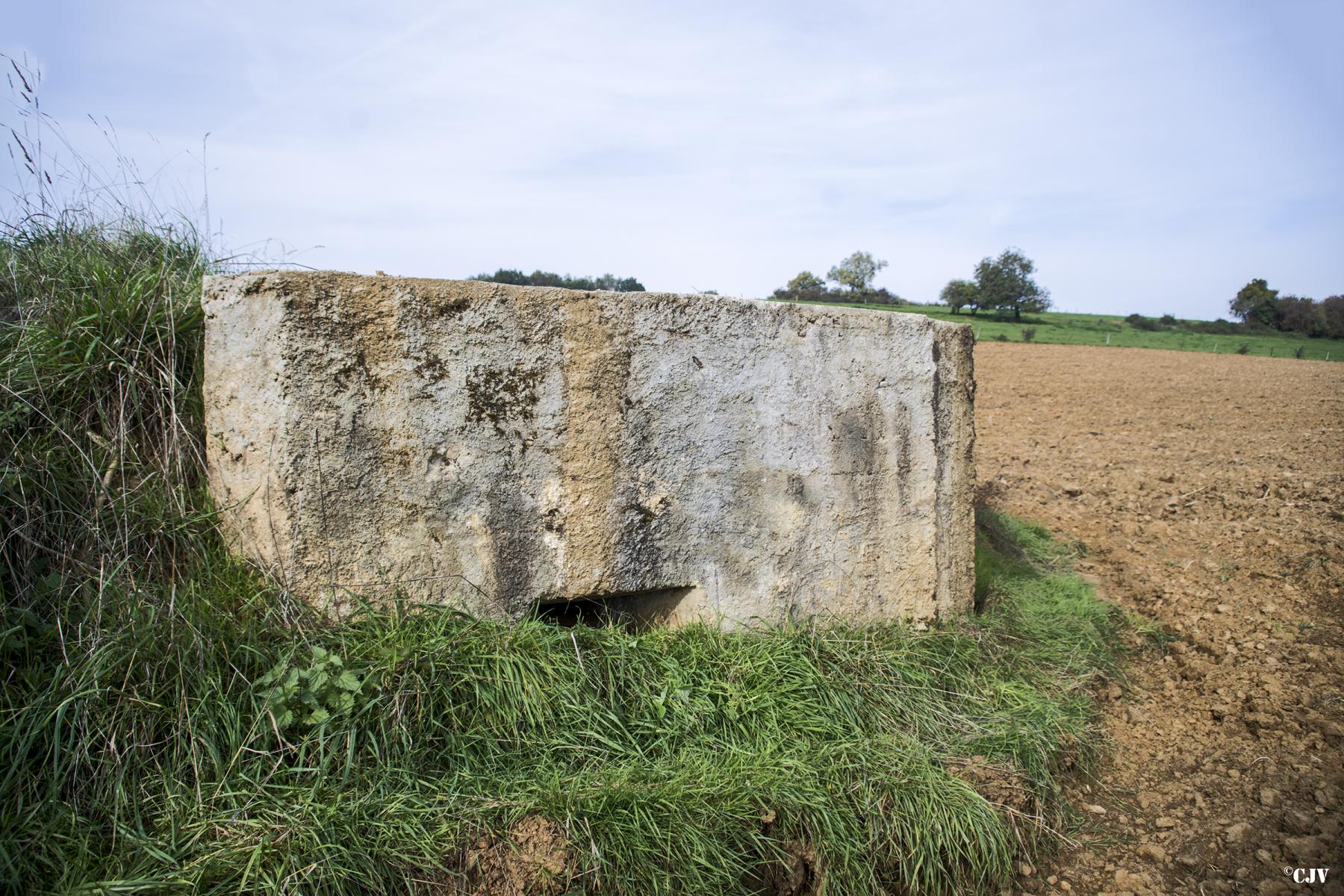 Ligne Maginot - V - LES LIGNIERES - (Blockhaus pour canon) -  - Lia VERMEULEN