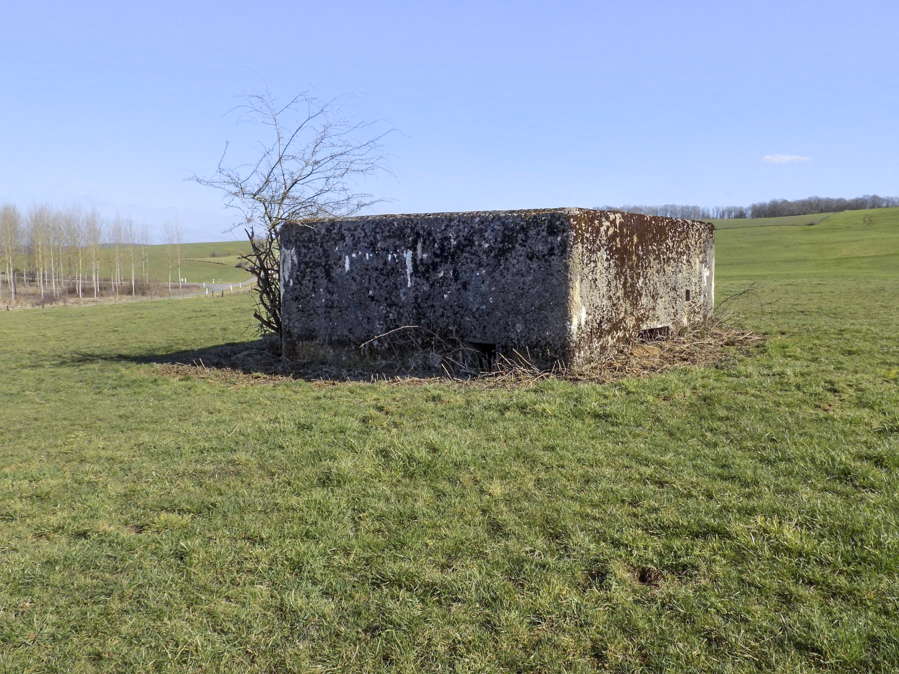 Ligne Maginot - MALANDRY - (Blockhaus pour canon) - Face gauche et l'arrière - Richard Tucker