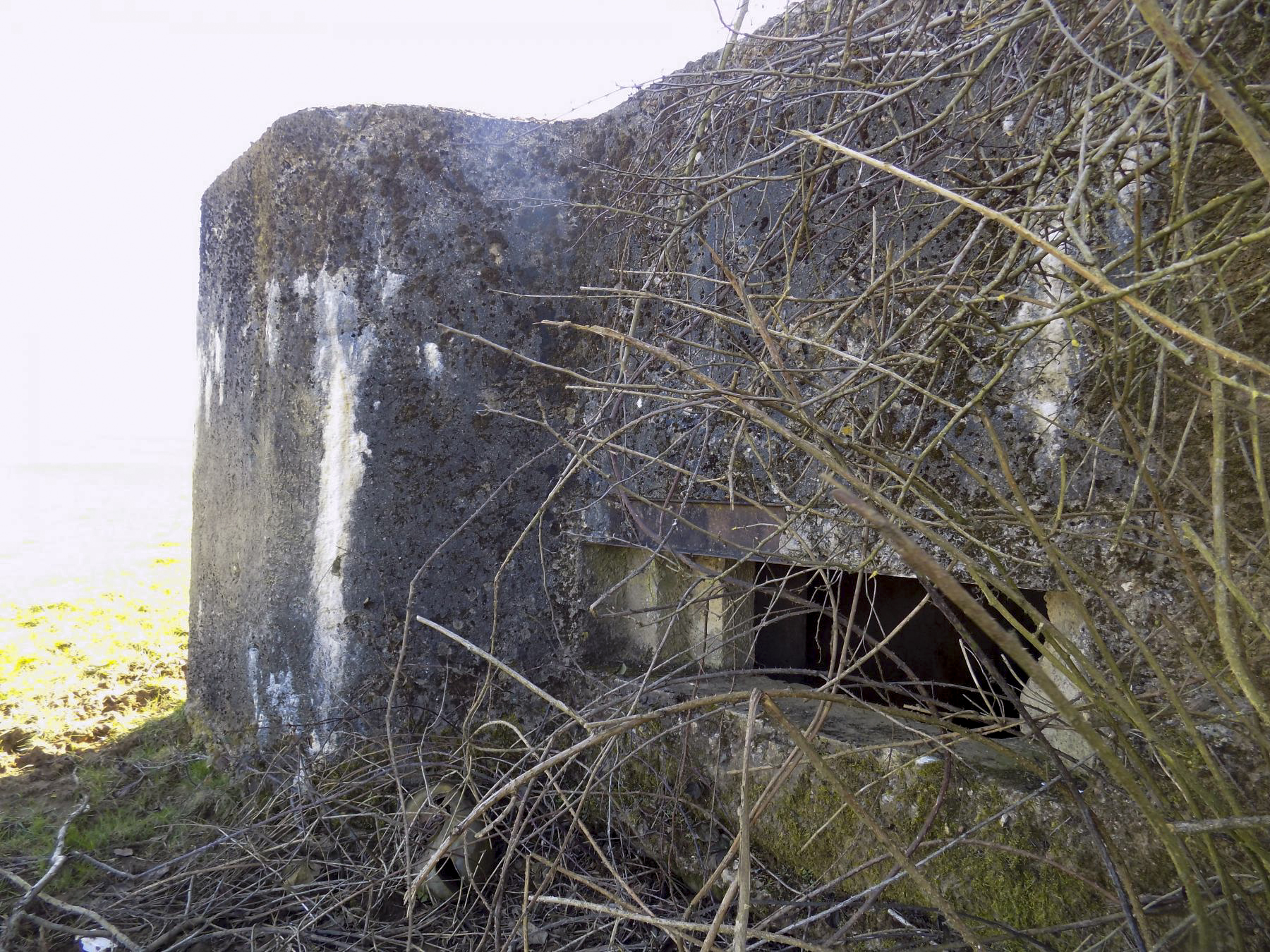 Ligne Maginot - MALANDRY - (Blockhaus pour canon) - Créneau AC frontal - Richard Tucker
