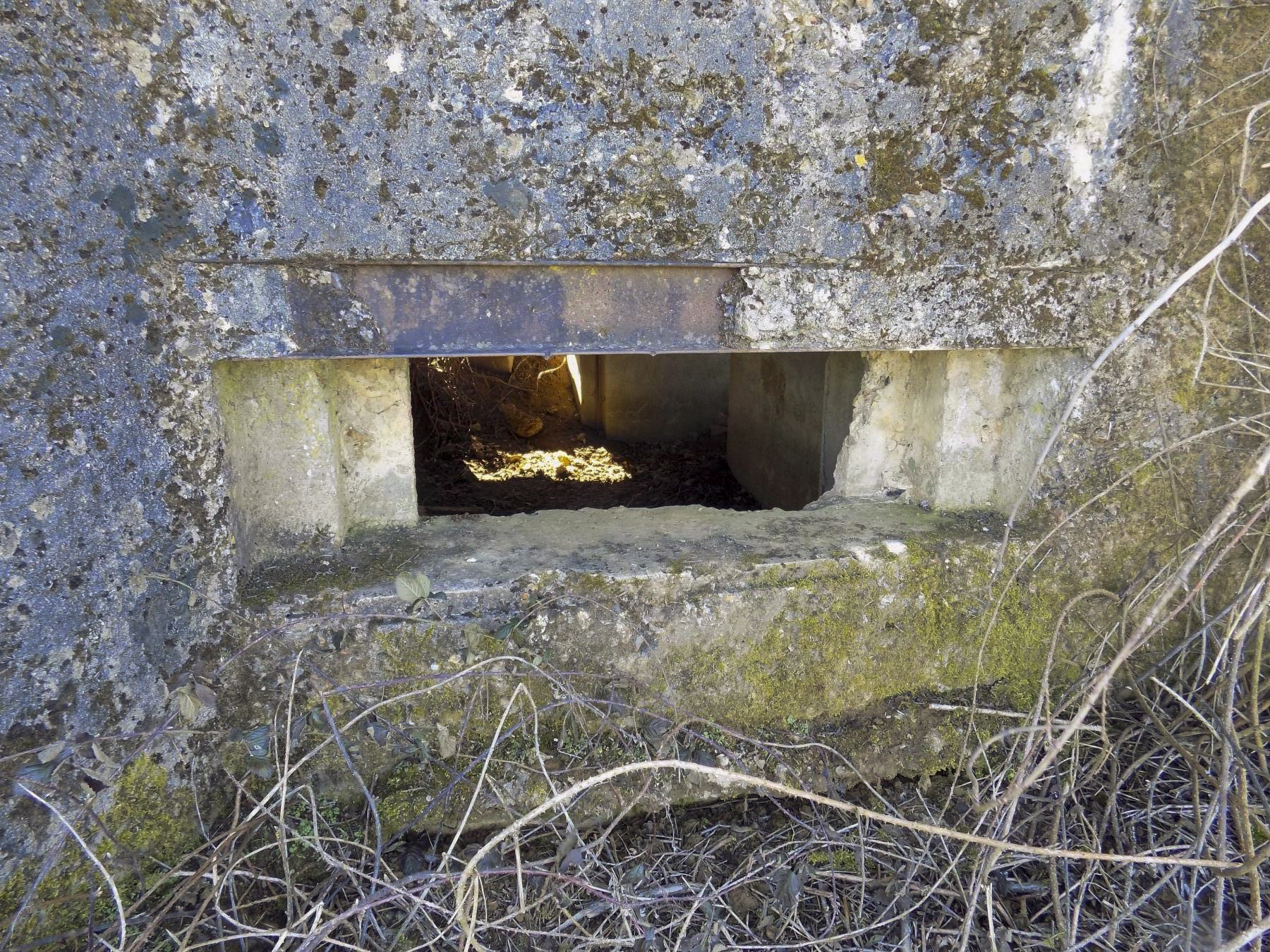 Ligne Maginot - MALANDRY - (Blockhaus pour canon) - Créneau AC frontal avec dégâts visible - Richard Tucker