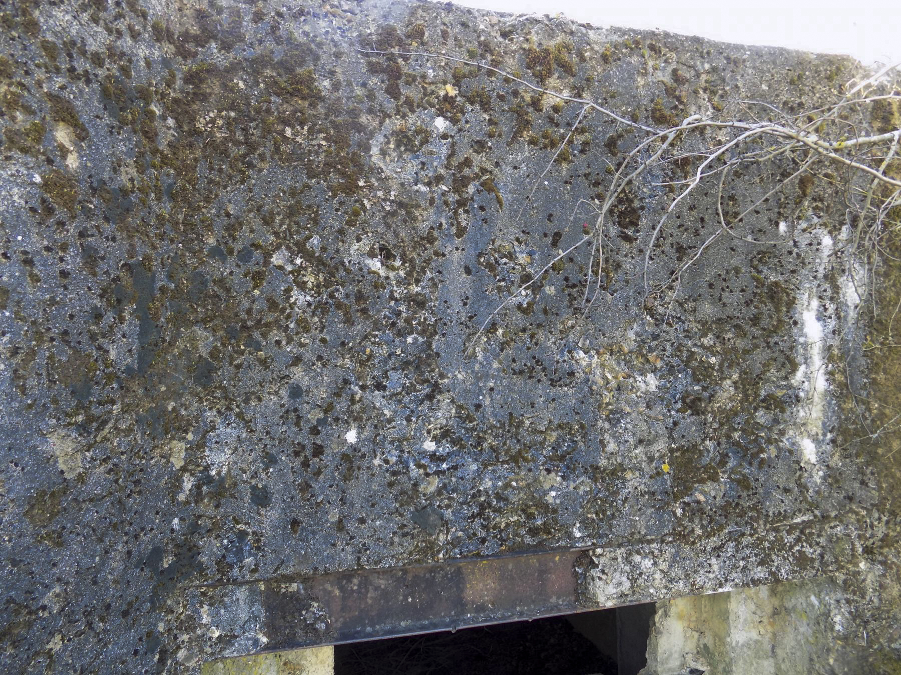 Ligne Maginot - MALANDRY - (Blockhaus pour canon) - Face frontale, les dégâts - Richard Tucker