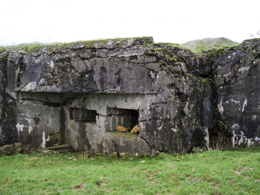 Ligne Maginot - 74 - LES FOURCHES - (Blockhaus lourd type STG / STG-FCR - Double) - Face ouest - R Tucker