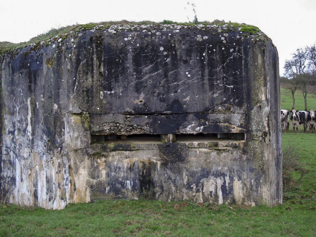 Ligne Maginot - 74 - LES FOURCHES - (Blockhaus lourd type STG / STG-FCR - Double) - Créneau d'observation - R Tucker