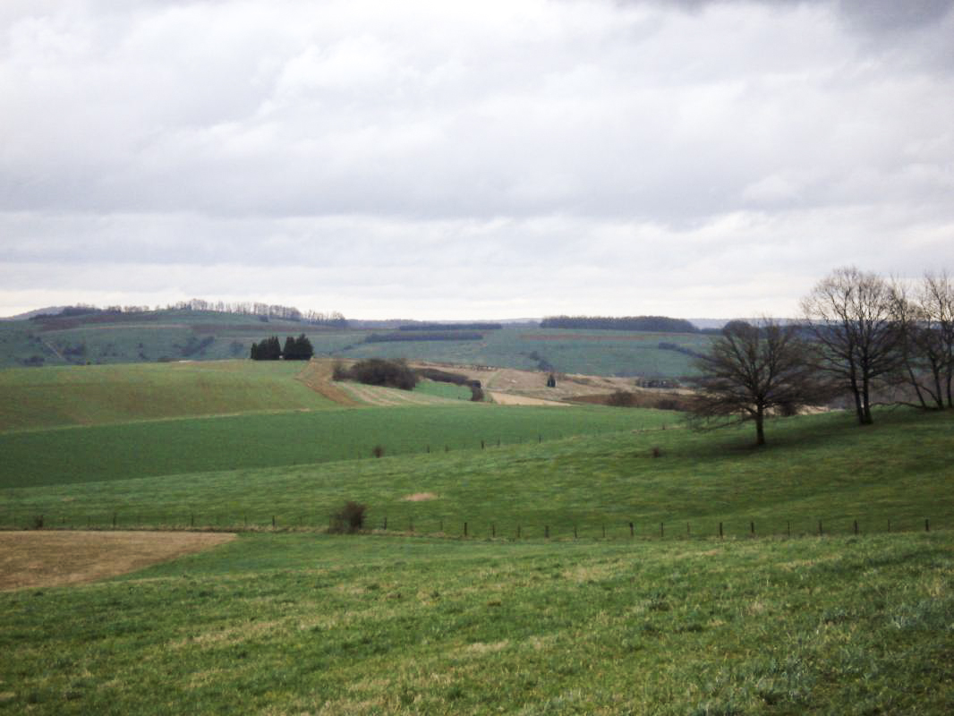 Ligne Maginot - 74 - LES FOURCHES - (Blockhaus lourd type STG / STG-FCR - Double) - Vue coté nord vers l'ouvrage de la Ferté - R Tucker