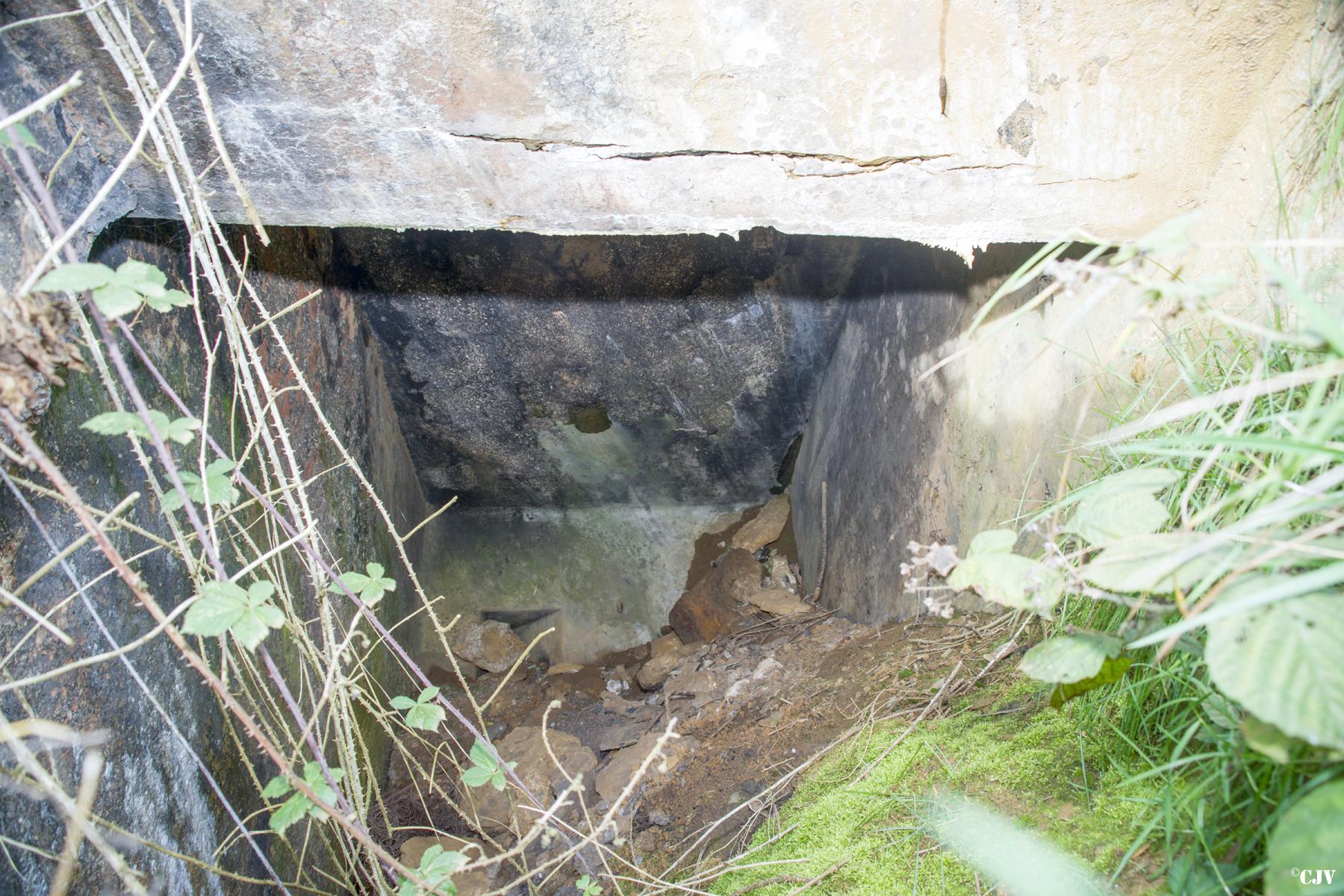 Ligne Maginot - T - PETIT WE - (Blockhaus pour arme infanterie) -  - Lia VERMEULEN
