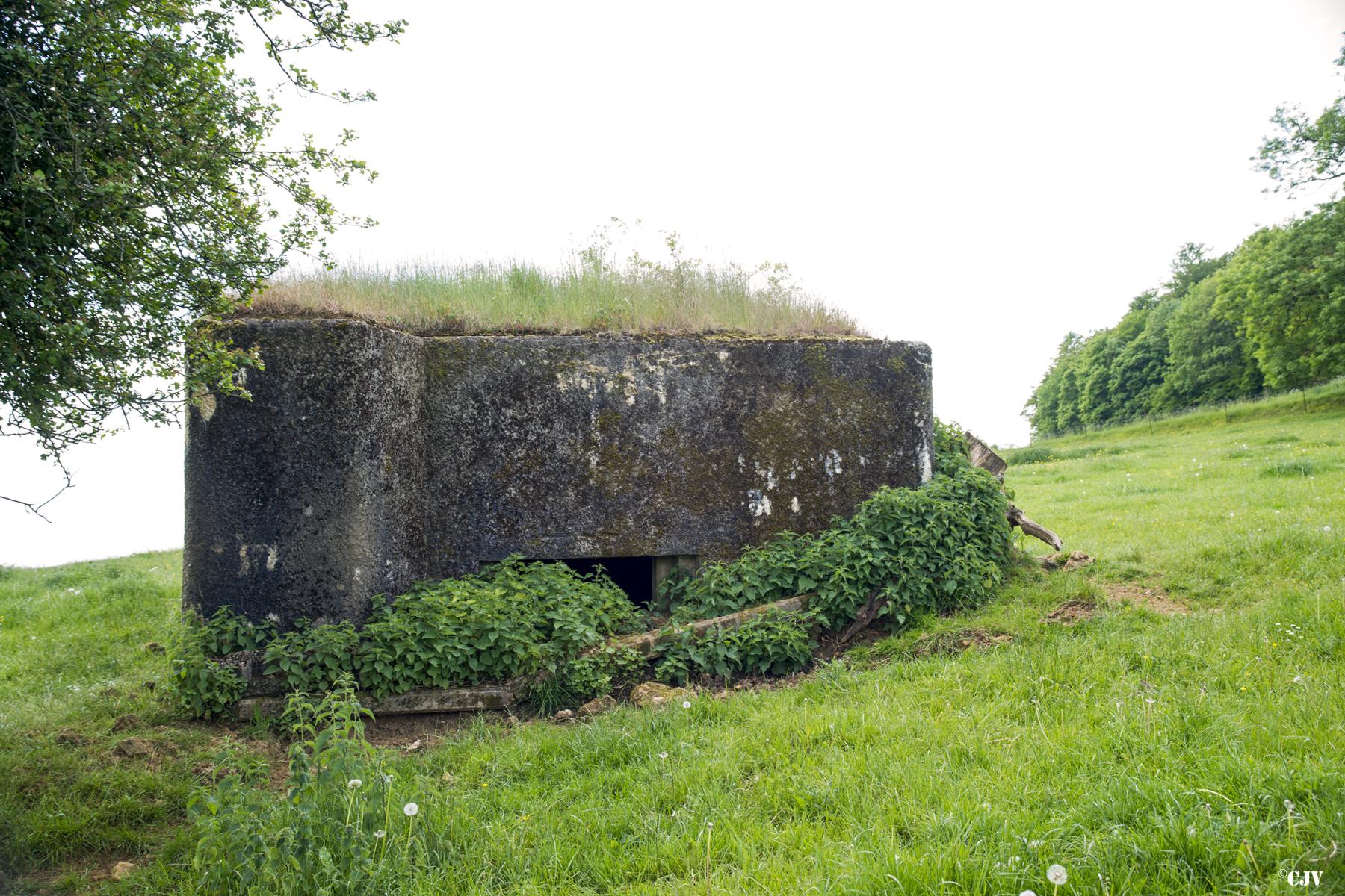 Ligne Maginot - CROIX DU SOLDAT - (Blockhaus pour canon) -  - Lia VERMEULEN