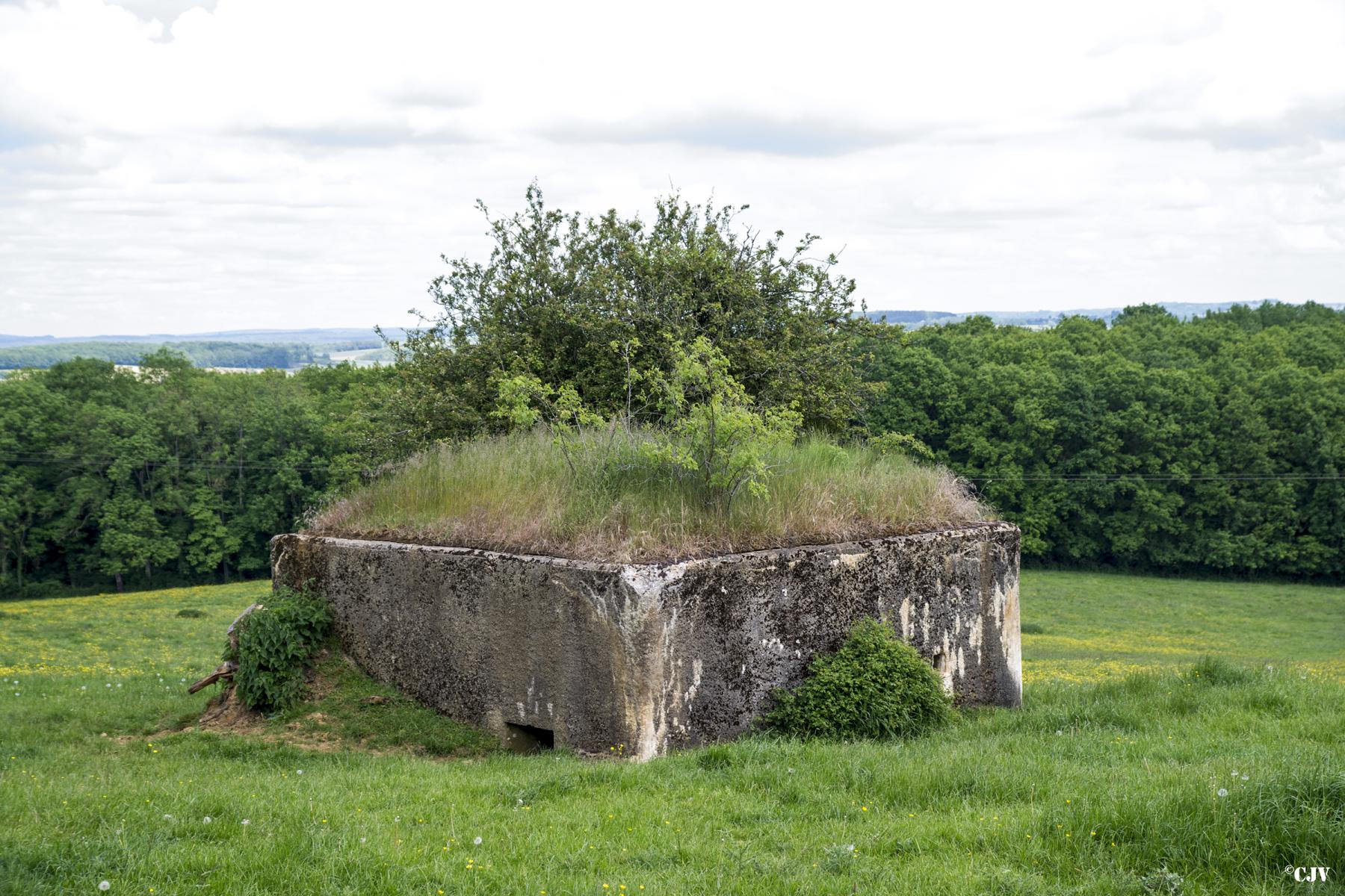 Ligne Maginot - CROIX DU SOLDAT - (Blockhaus pour canon) -  - Lia VERMEULEN