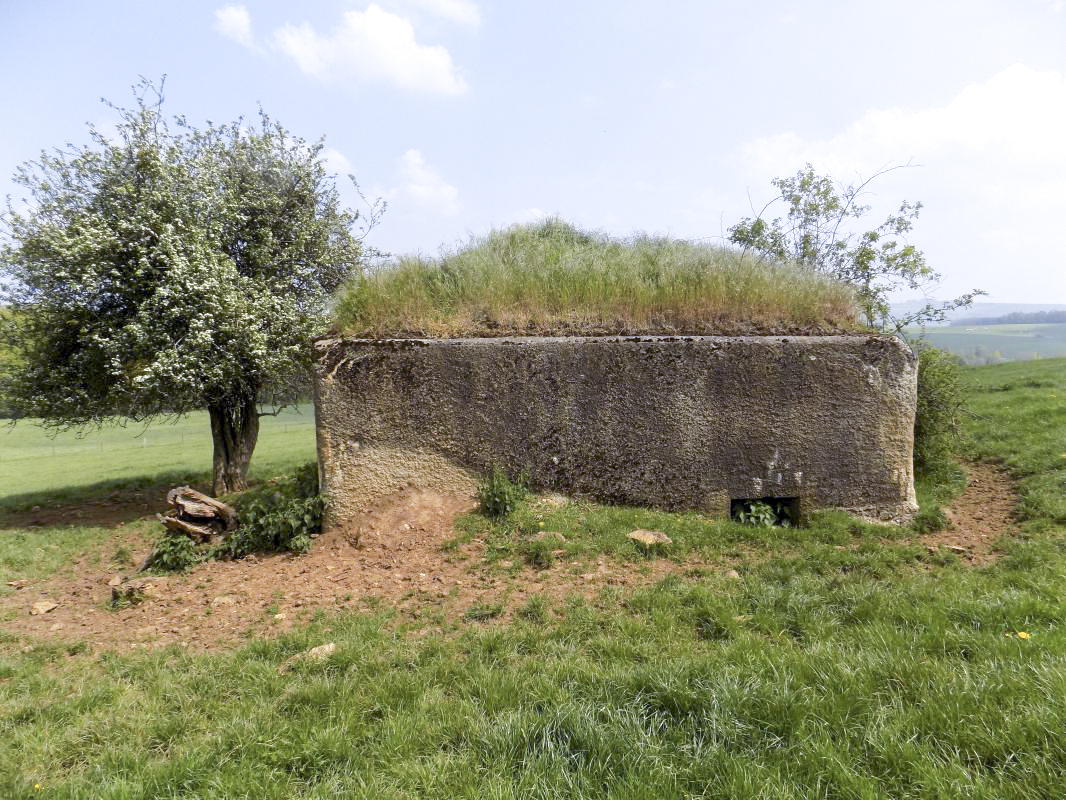 Ligne Maginot - CROIX DU SOLDAT - (Blockhaus pour canon) - Face arrière avec l'entrée hommes - R Tucker