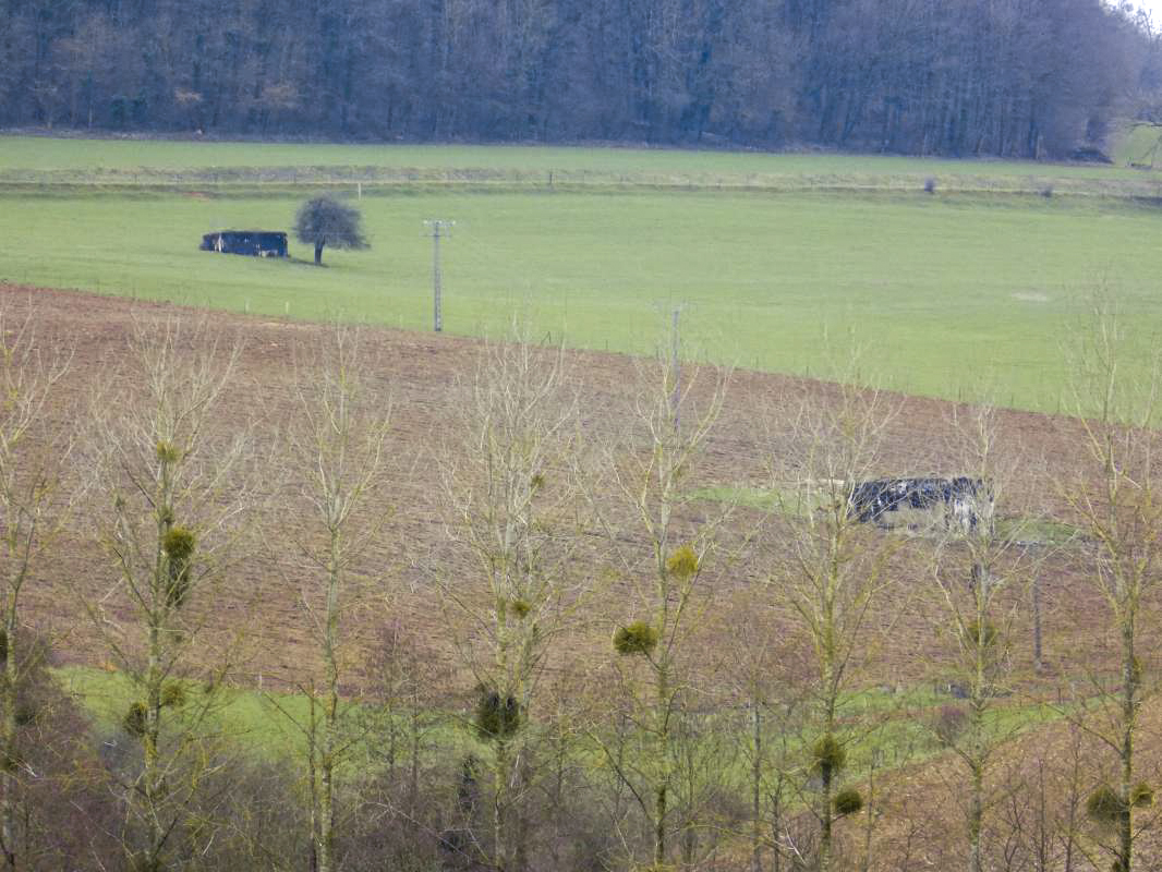 Ligne Maginot - A105 - SAILLY - (Blockhaus lourd type STG / STG-FCR - Simple) - Le blockhaus du Croix du Soldat à gauche et A105 à droite, pris de l'est - R Tucker