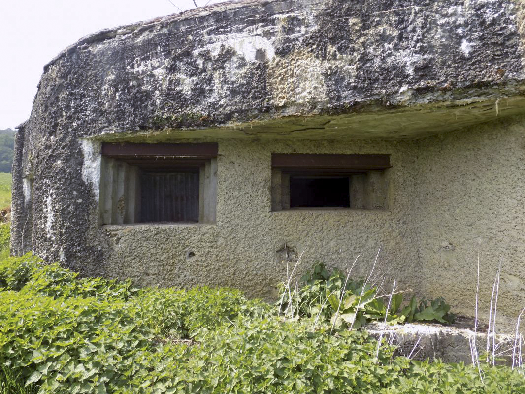 Ligne Maginot - A105 - SAILLY - (Blockhaus lourd type STG / STG-FCR - Simple) - Les créneaux - R Tucker