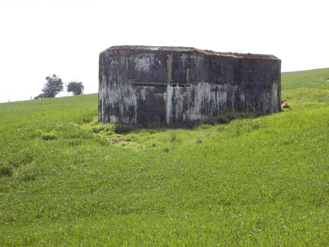Ligne Maginot - A105 - SAILLY - (Blockhaus lourd type STG / STG-FCR - Simple) - Face gauche - R Tucker