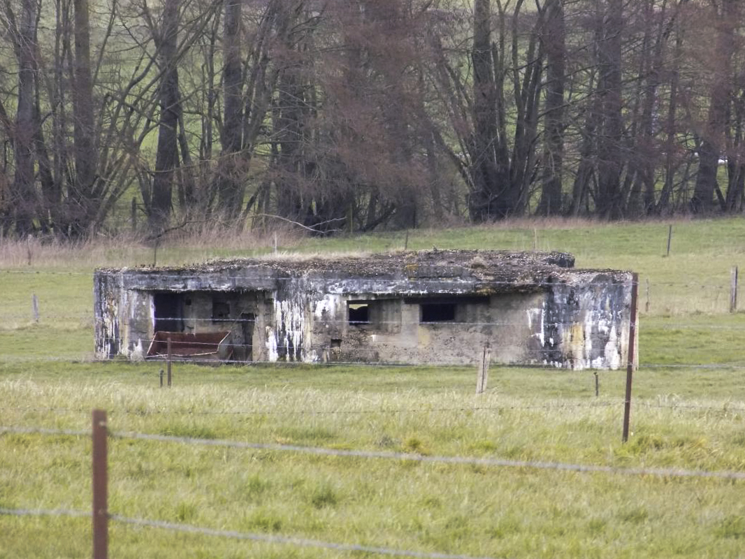 Ligne Maginot - A106 - FOND DUR - (Blockhaus lourd type STG / STG-FCR - Double) - Vue du sud - R Tucker