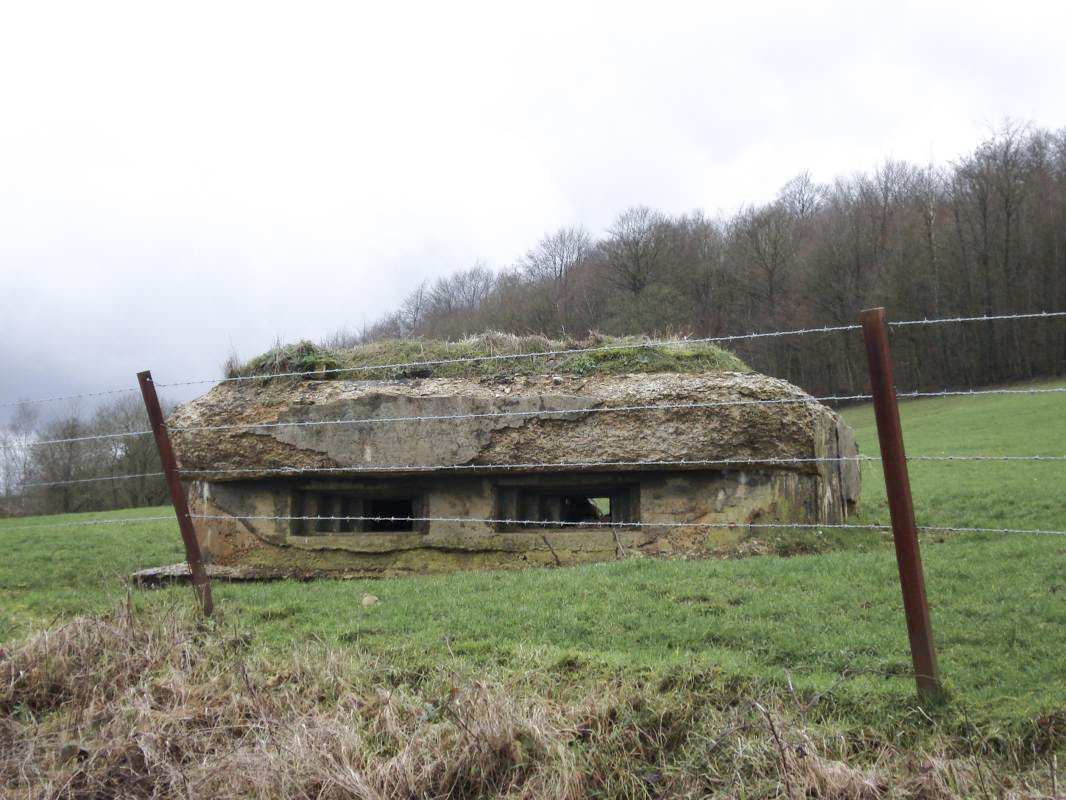 Ligne Maginot - 15A - LA VIGNETTE SUD - (Blockhaus pour arme infanterie) -  - R Tucker