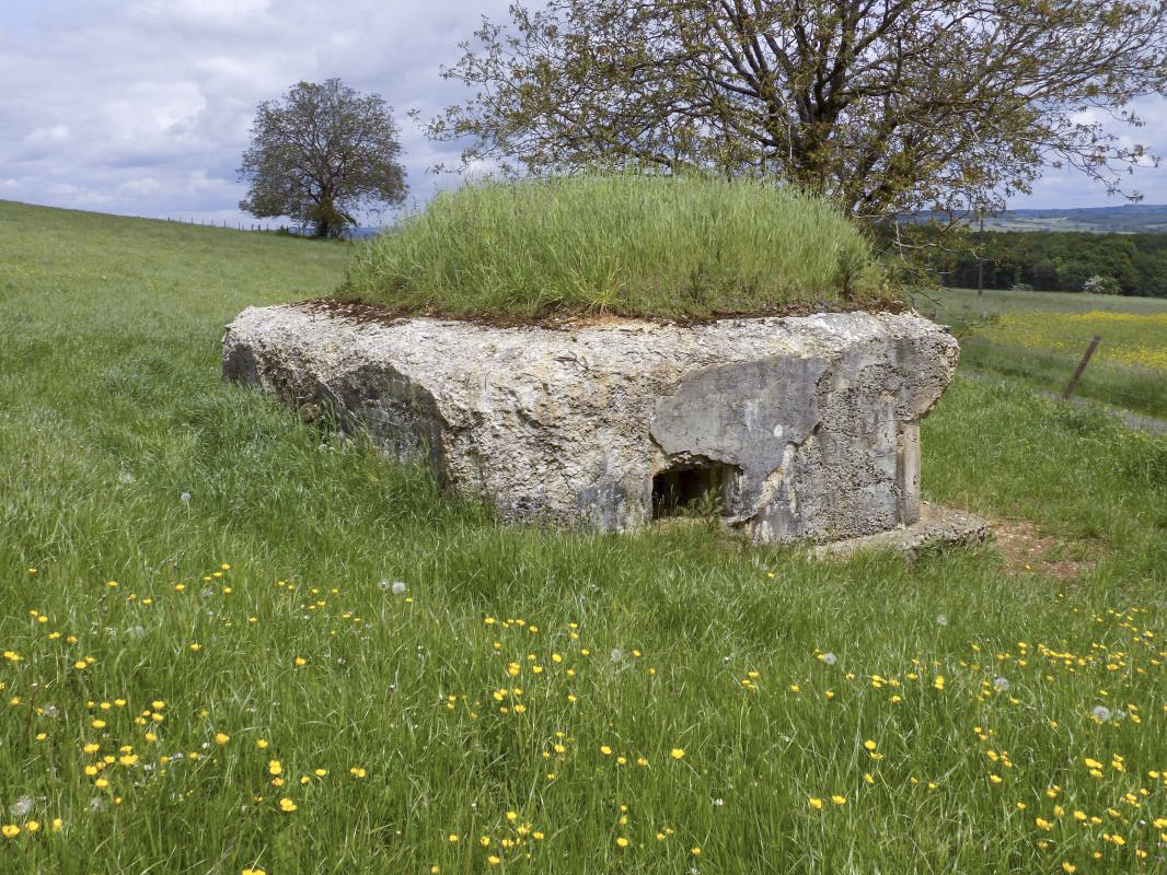 Ligne Maginot - 15A - LA VIGNETTE SUD - (Blockhaus pour arme infanterie) - L'arrière et face droite - R Tucker