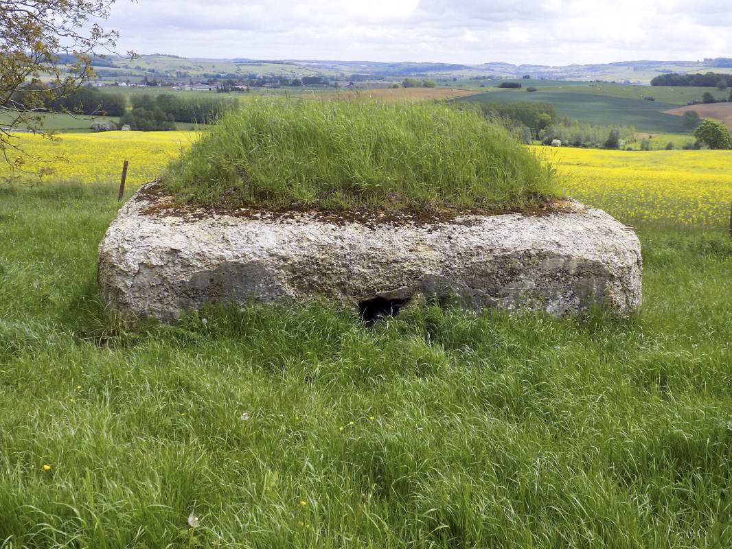 Ligne Maginot - 15A - LA VIGNETTE SUD - (Blockhaus pour arme infanterie) - L'arrière  - R Tucker