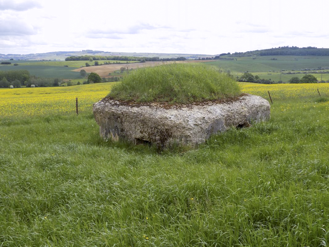 Ligne Maginot - 15A - LA VIGNETTE SUD - (Blockhaus pour arme infanterie) - Faces gauche et l'arrière  - R Tucker