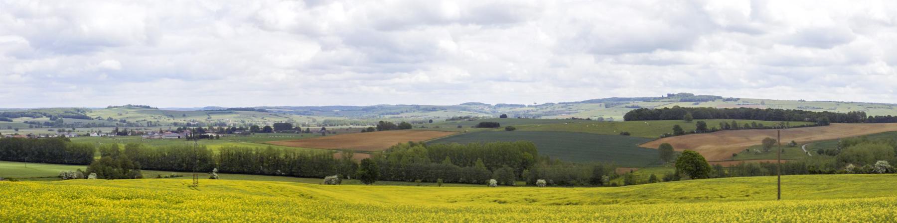 Ligne Maginot - 15A - LA VIGNETTE SUD - (Blockhaus pour arme infanterie) - Vue panoramique du nord-est, par La Ferté vers St. Walfroy - R Tucker