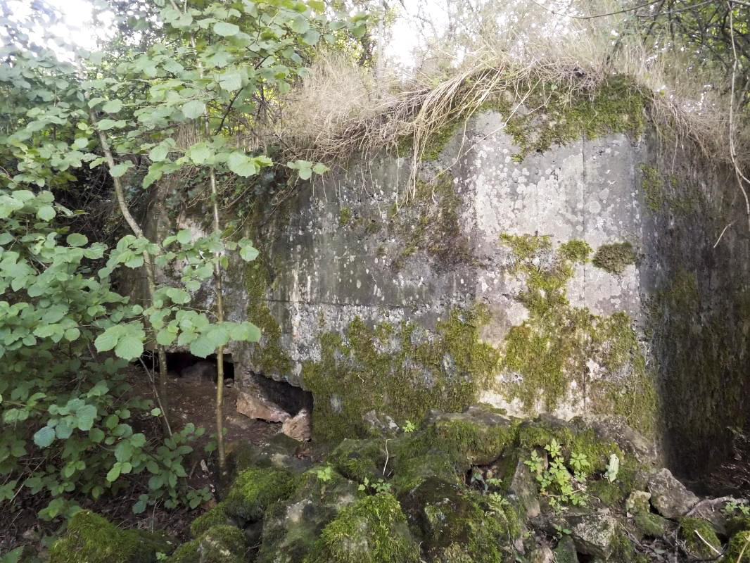 Ligne Maginot - 68BIS - LES BRUYERES - (Blockhaus pour canon) - Faces frontale et gauche - R Tucker