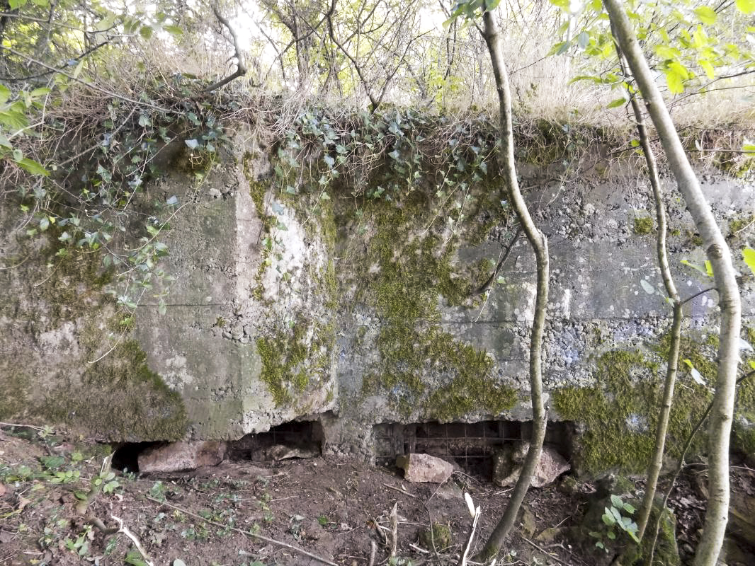 Ligne Maginot - 68BIS - LES BRUYERES - (Blockhaus pour canon) - Face frontale, (direction nord) - R Tucker