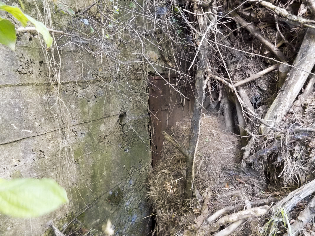 Ligne Maginot - 68BIS - LES BRUYERES - (Blockhaus pour canon) - L'arrière avec l'entrée hommes remblayée - R Tucker