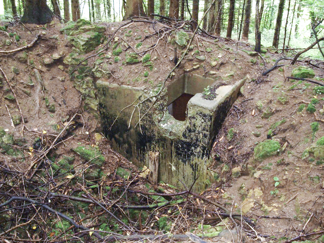 Ligne Maginot - SAINT DONAT - (Observatoire d'infanterie) -  - R Tucker