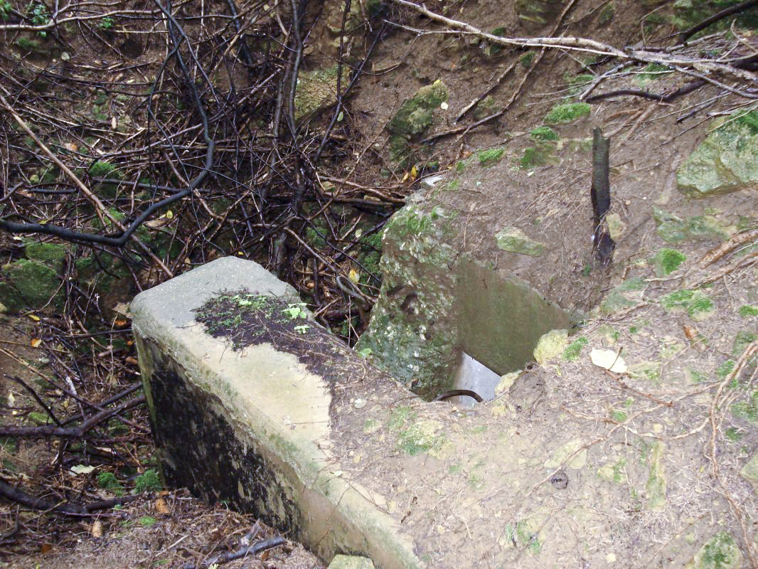 Ligne Maginot - SAINT DONAT - (Observatoire d'infanterie) -  - R Tucker