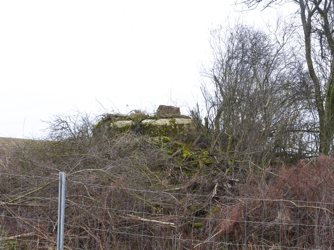 Ligne Maginot - 69BIS - SAULE GILET - (Blockhaus pour arme infanterie) -   - David HARMAND