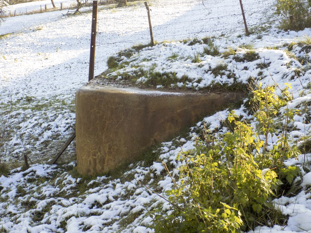 Ligne Maginot - 72BIS - THONNE NORD - (Blockhaus pour canon) - Face gauche - R Tucker