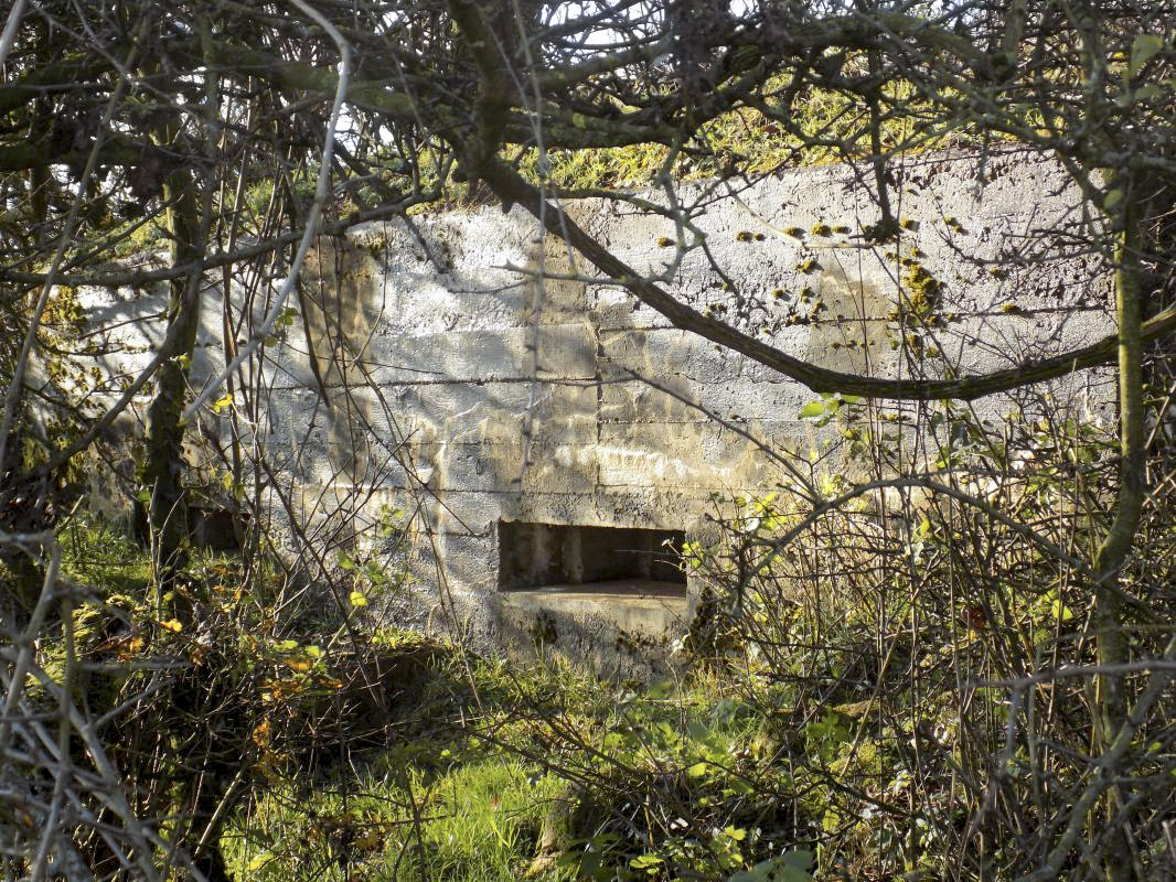 Ligne Maginot - 74 - RAVIN DE BRAVAUX - (Blockhaus pour arme infanterie) - Face frontale - R Tucker
