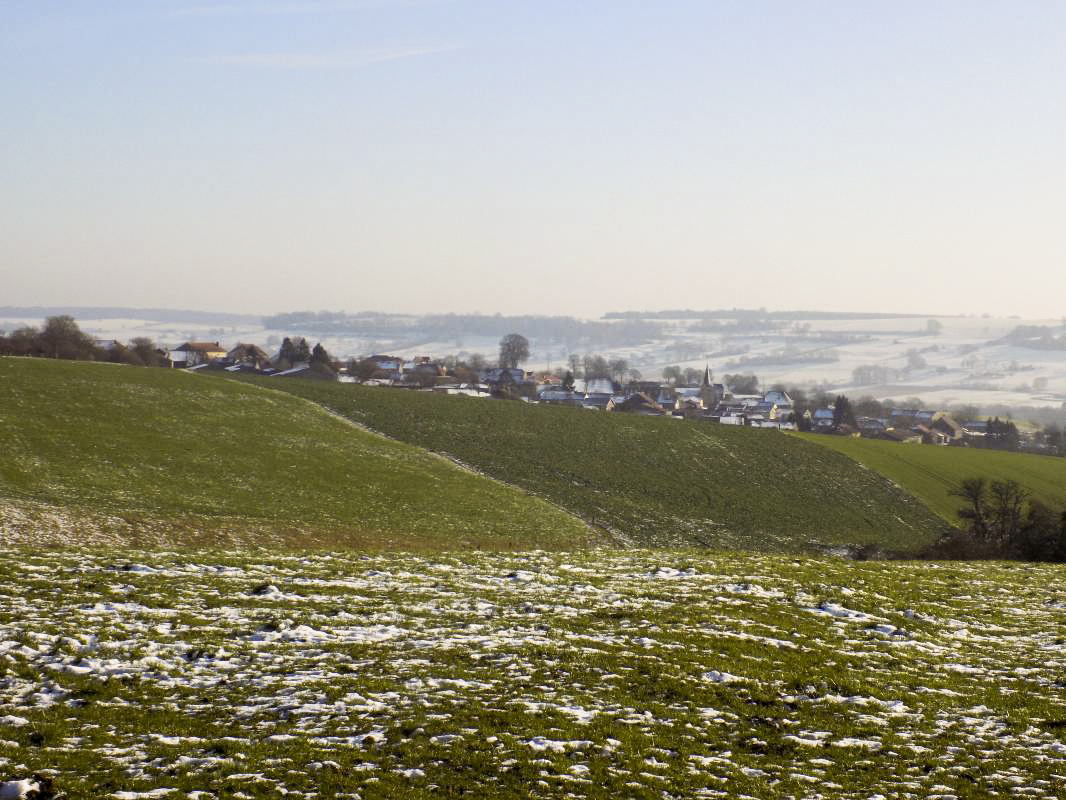 Ligne Maginot - 74 - RAVIN DE BRAVAUX - (Blockhaus pour arme infanterie) - Vue frontale vers Thonne-le-Thil - R Tucker