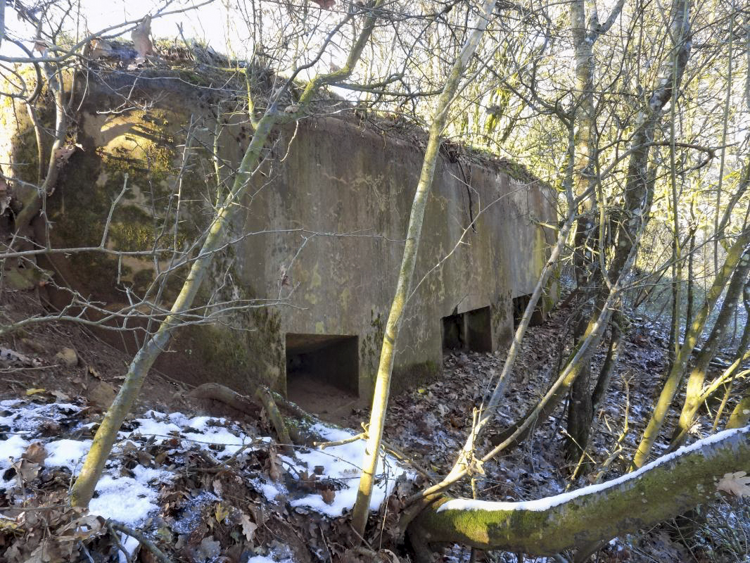 Ligne Maginot - 73BIS - LE CHENE - (Blockhaus pour arme infanterie) - Face frontale - R Tucker